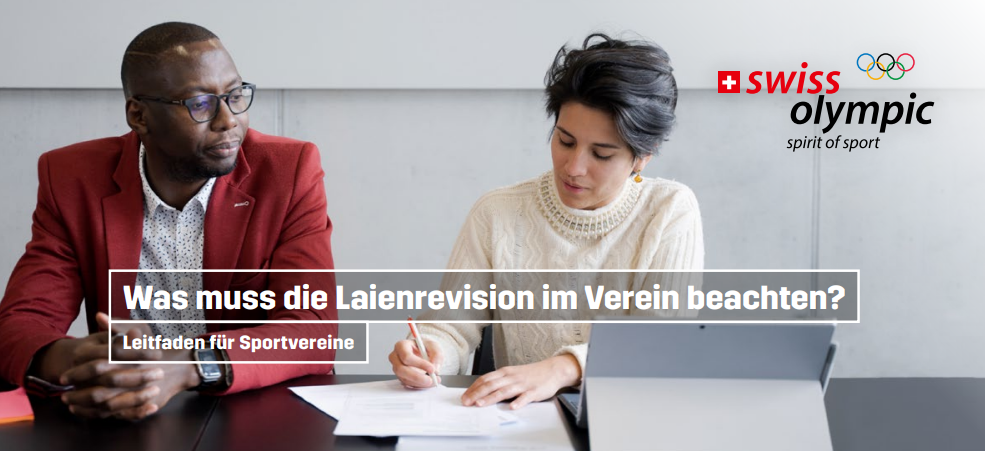Laienrevision_Titelbild